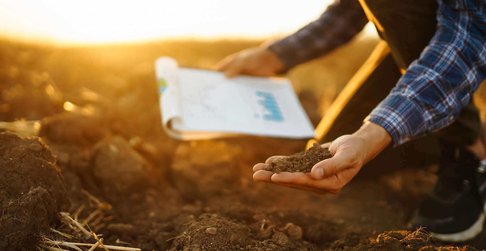 Análise de Solo Avançada